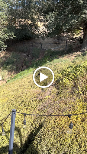 Explore bro and sister tattoo ideas, creative tattoo ideas in San Diego, available at Crybaby Tattoo