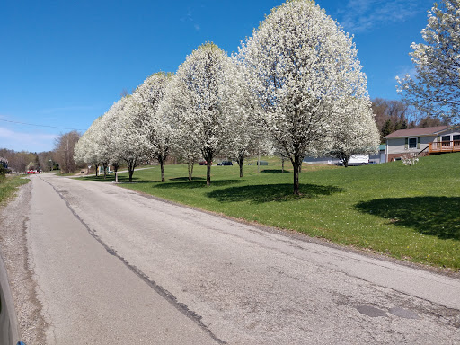 Winery «Greenhouse Winery», reviews and photos, 1048 Pinewood Rd, Irwin, PA 15642, USA