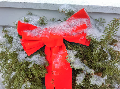 Park «Danehy Park», reviews and photos, 99 Sherman St, Cambridge, MA 02138, USA