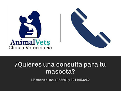 Clinica Veterinaria AnimalVets