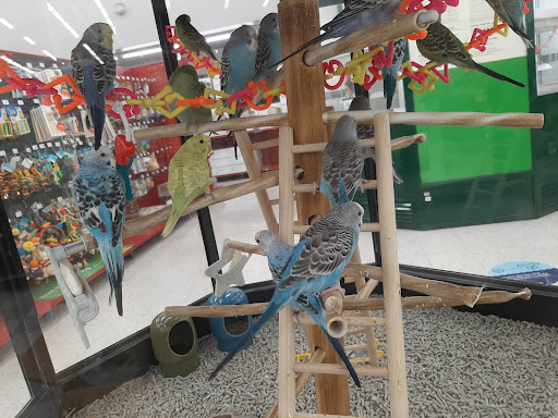 Pet Supply Store «Petco Animal Supplies», reviews and photos, 6067 Greenback Ln, Citrus Heights, CA 95621, USA