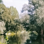 Photo n°1 de l'avis de paola. fait le 29/08/2021 à 08:31 sur le  Grillo Verde à Motta Visconti