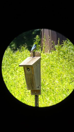 Nature Preserve «Beaver Meadow Audubon Center», reviews and photos, 1610 Welch Rd, Java Center, NY 14082, USA