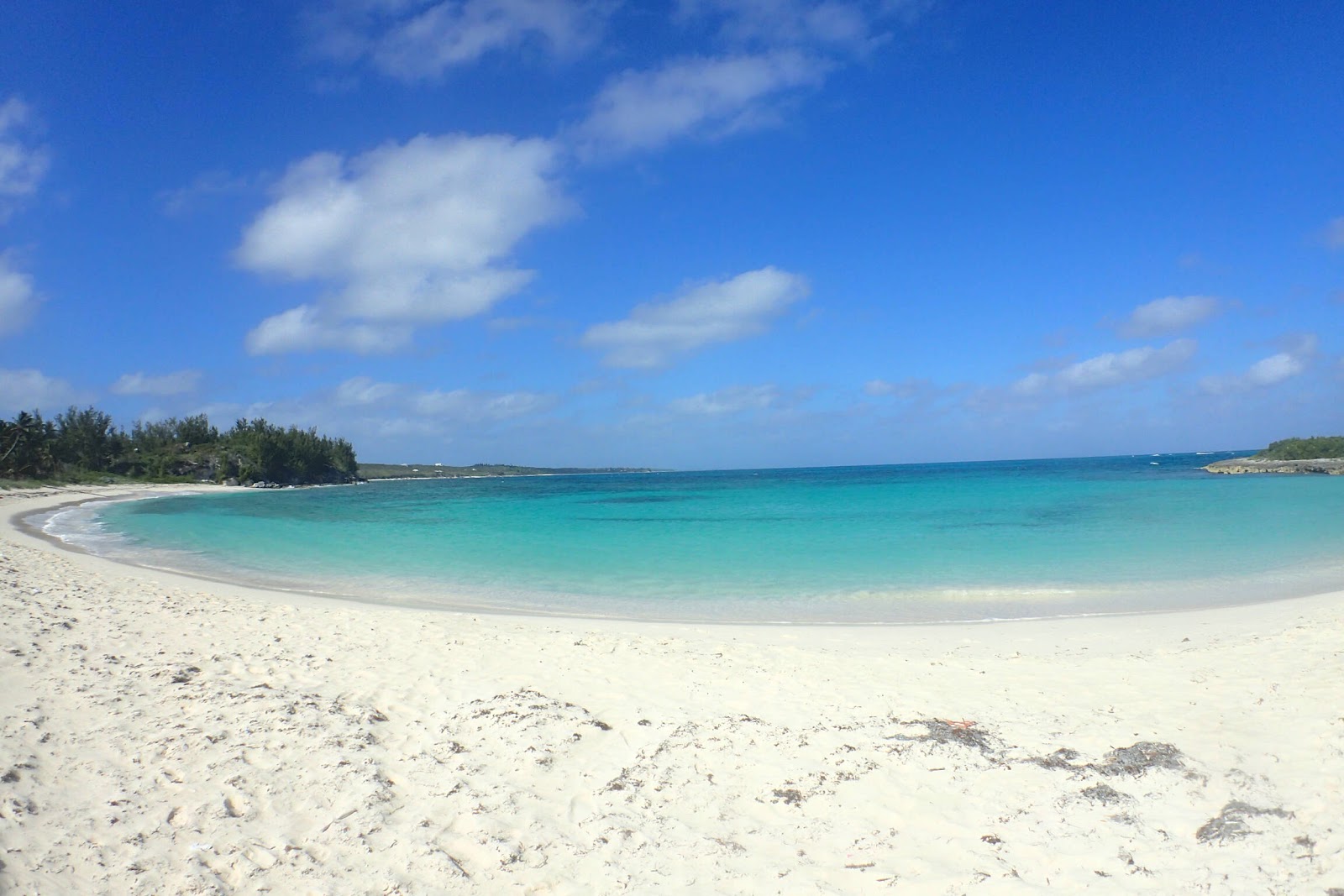 Photo de Twin Coves beach avec plusieurs baies spacieuses