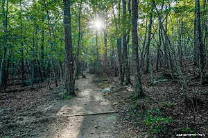 Hanging Rock State Park Campground image