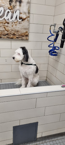 Pet Supply Store «Petco Animal Supplies», reviews and photos, 5850 Sepulveda Blvd, Van Nuys, CA 91411, USA