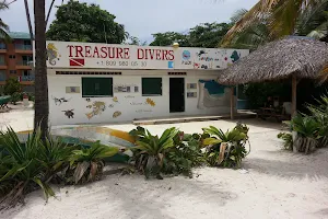 Treasure Divers image