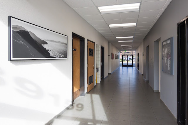 Law Office of Tricia Wang