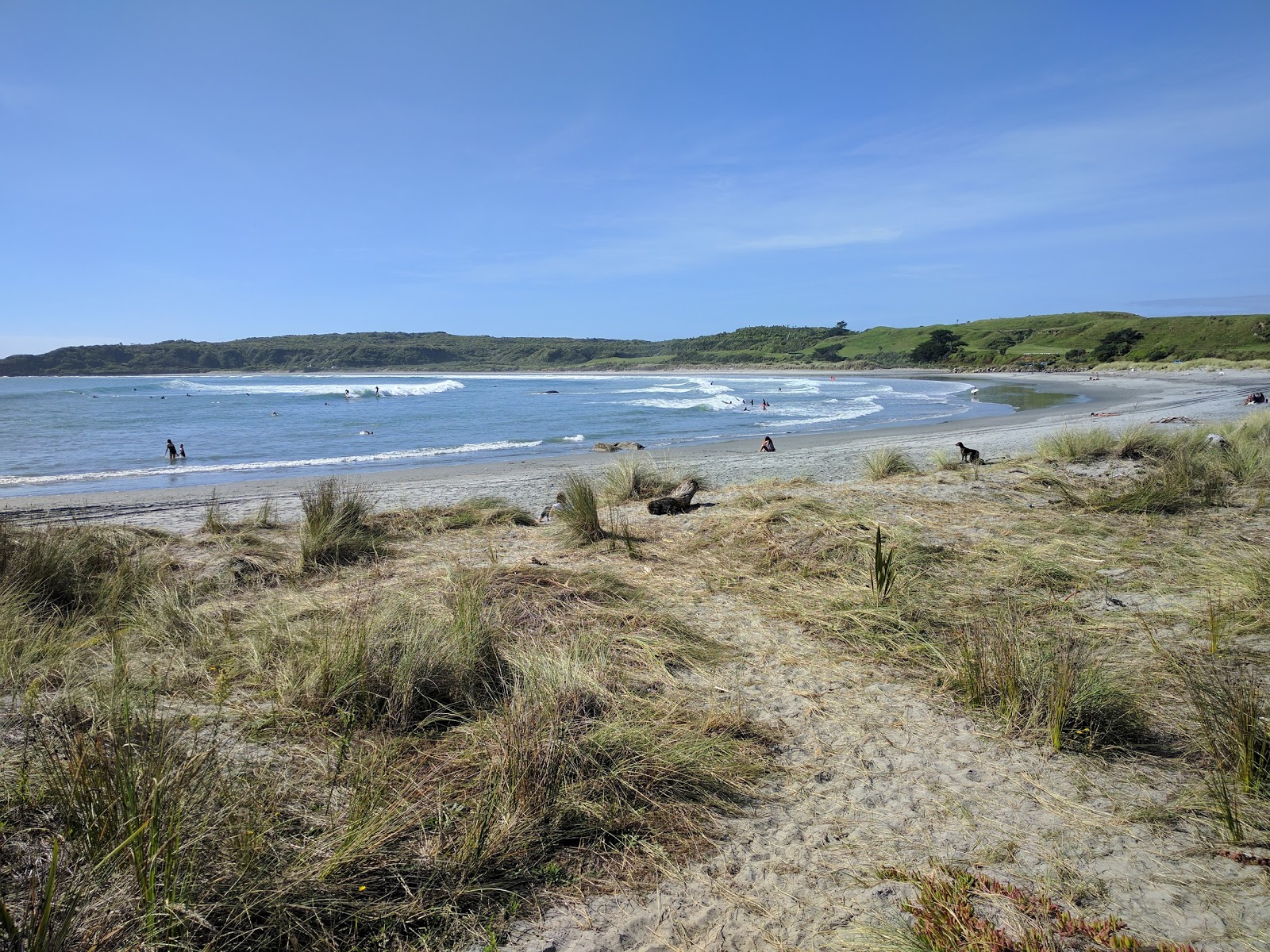 Foto van Tauranga Beach met helder zand oppervlakte