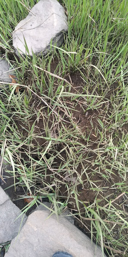 Park «Sweets Knoll State Park», reviews and photos, 1387 Somerset Ave, Dighton, MA 02715, USA