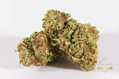 Le Celtique Bar Tabac VAPE WPUFF et CBD SHOP à Drancy