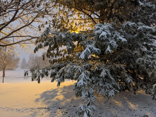 Park «Willow Creek Park», reviews and photos, 8000 E Phillips Cir, Centennial, CO 80112, USA