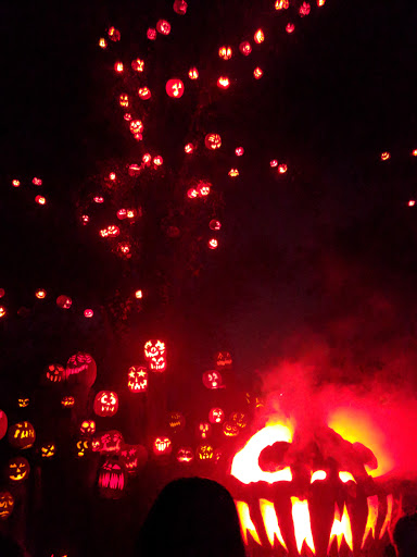 Zoo «Jack-O-Lantern Spectacular», reviews and photos, 1000 Elmwood Ave, Providence, RI 02905, USA