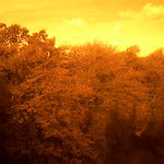 Photo n°4 de l'avis de Manfred.i fait le 21/10/2020 à 16:05 sur le  Restaurant Forsthaus Hessenstein à Panker