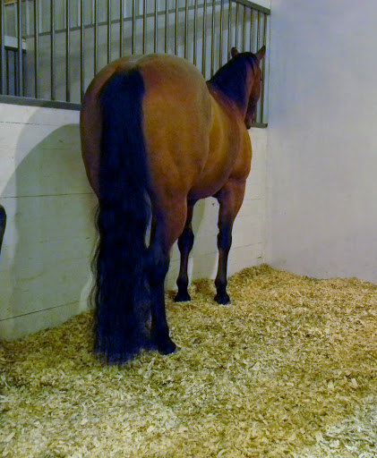 S-4 Quality Shavings LLC