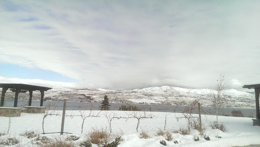 Winery «Fielding Hills Winery», reviews and photos, 565 S Lakeshore Rd, Chelan, WA 98816, USA