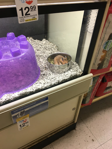 Pet Supply Store «PetSmart», reviews and photos, 7616 Denton Hwy #532, Watauga, TX 76148, USA
