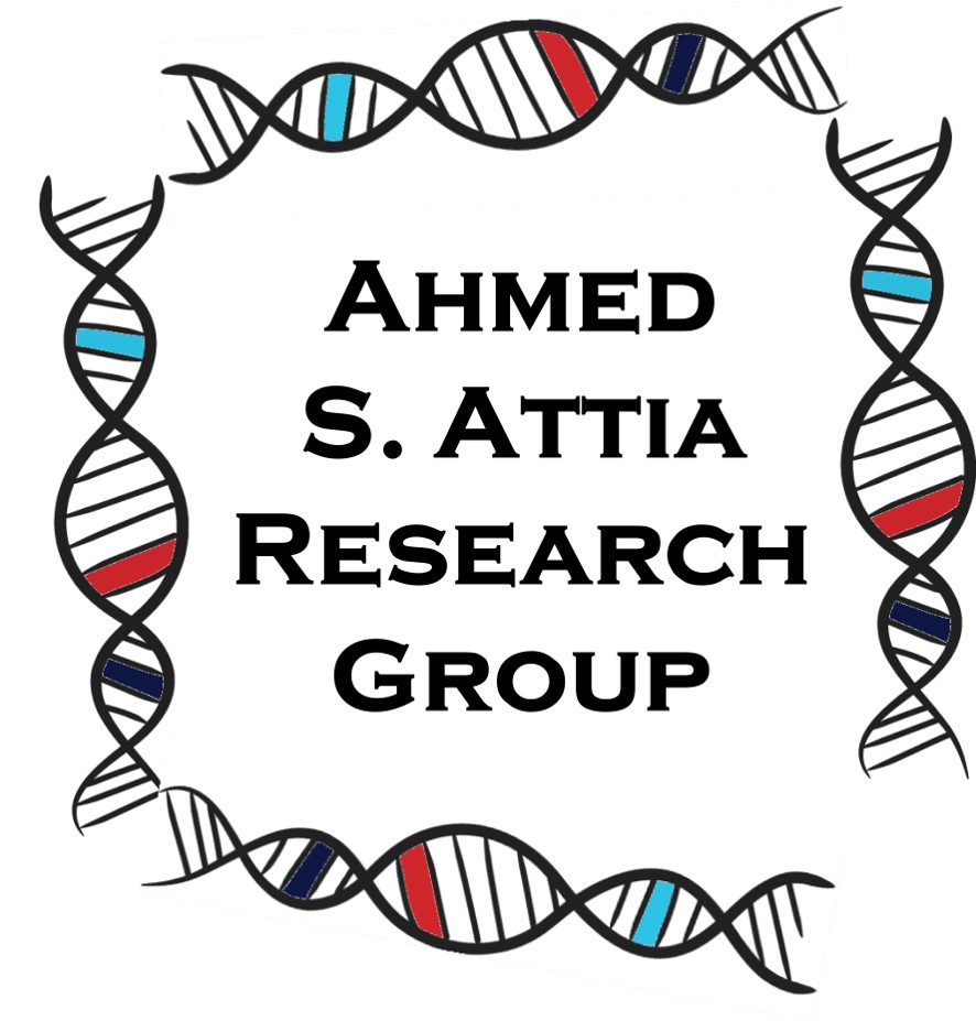 Ahmed S. Attia Research Group