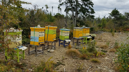 Abbigail Honey Farms