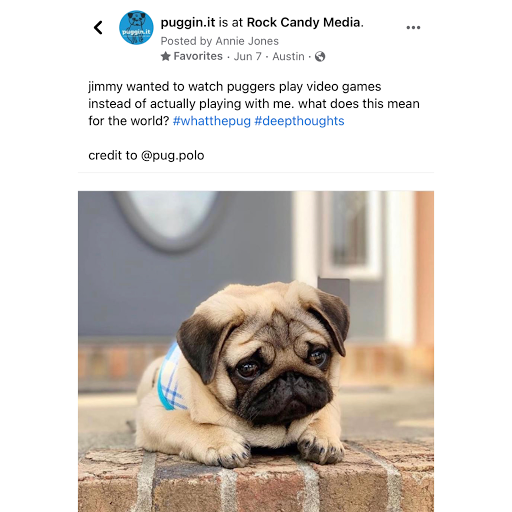 Marketing Agency «Rock Candy Media», reviews and photos, 5900 Balcones Dr #205, Austin, TX 78731, USA