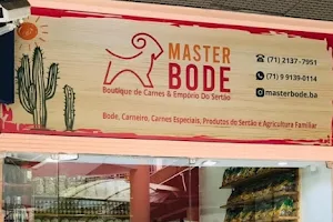 Master Bode image
