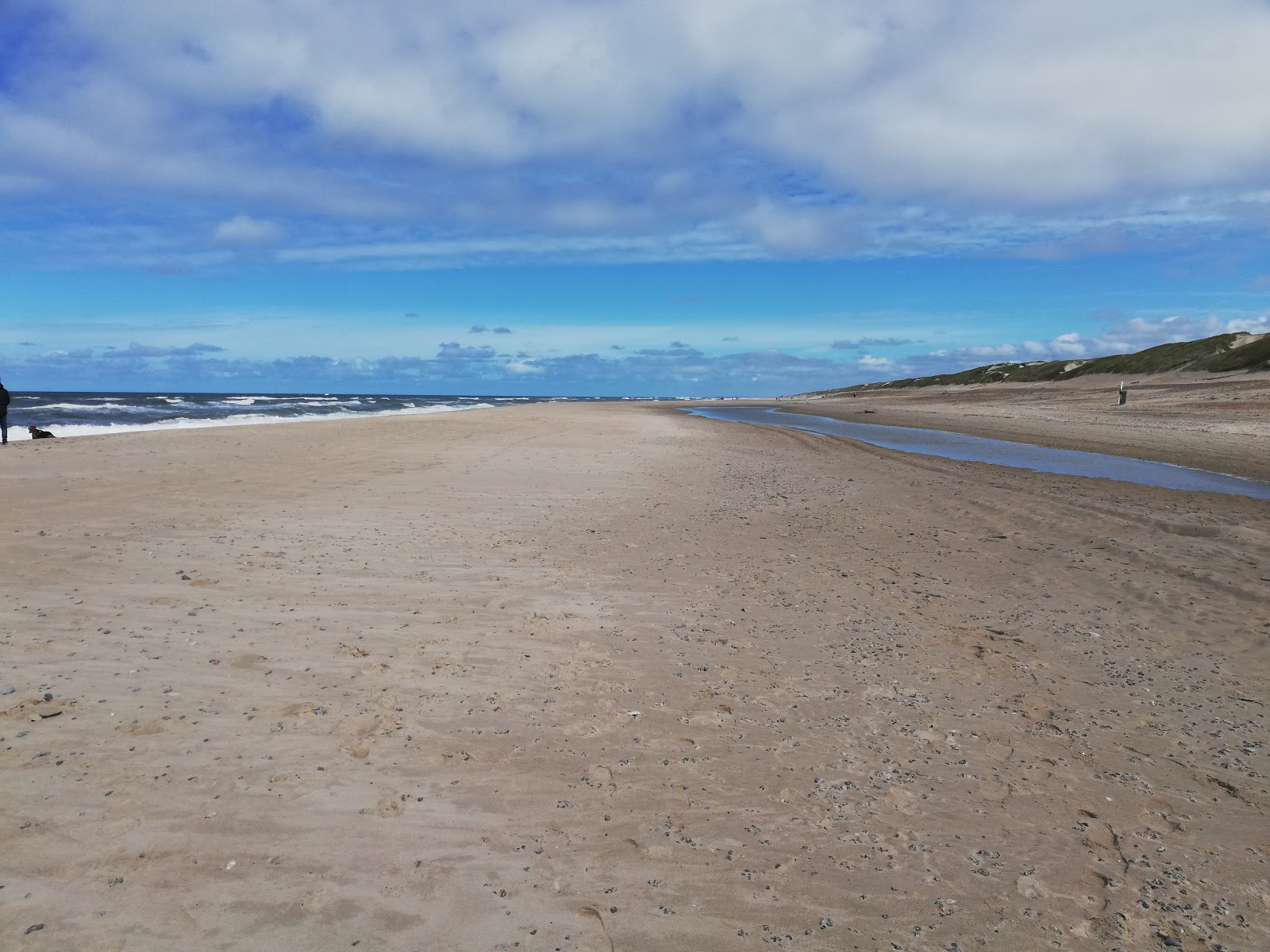 Fotografie cu Sondervig Beach amplasat într-o zonă naturală