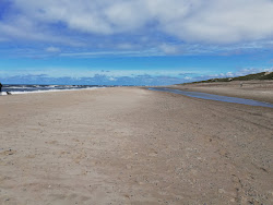 Zdjęcie Sondervig Beach położony w naturalnym obszarze