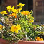 Photo n°8 de l'avis de Massimo. fait le 26/08/2020 à 16:17 sur le  The refuge dey Fond à Rhêmes-Notre-Dame