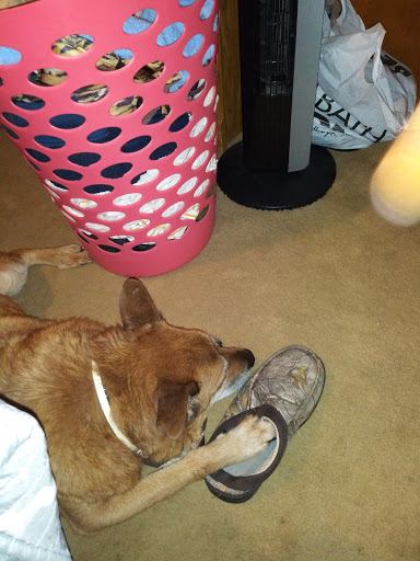 15567 Broadway Ave, Cleveland, OH 44137, USA