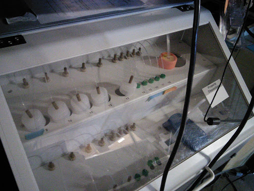 Used Furniture Store «U-M Property Disposition», reviews and photos, 3241 Baxter Rd, Ann Arbor, MI 48109, USA