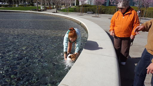 Temp Agency «Robert Half International», reviews and photos, 2613 Camino Ramon, San Ramon, CA 94583, USA