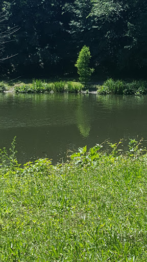 Park «Willson’s Woods Park», reviews and photos, 8 Bradford Rd, Mt Vernon, NY 10553, USA