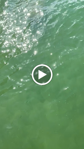 Dance School «SoBe Pole Dance Studio», reviews and photos, 828 Washington Ave, Miami Beach, FL 33139, USA