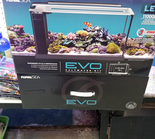 Pet Store «Petland Discounts - LI City», reviews and photos, 34-60 48th Ave, Queens, NY 11101, USA