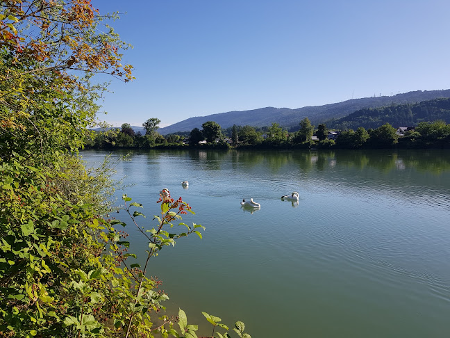 Rezensionen über COSMOS CANIS GmbH Kompetenz-Zentrum für Kleintiere in Aarau - Hundeschule