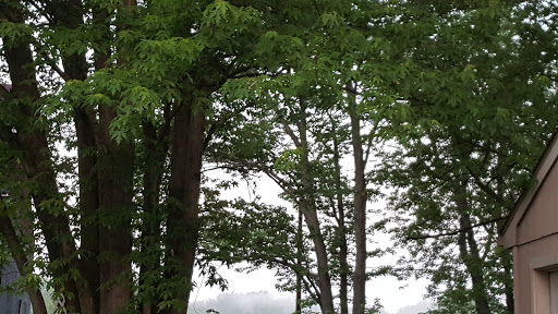 Movie Rental Store «Family Video», reviews and photos, 231 N Main St, Niles, OH 44446, USA