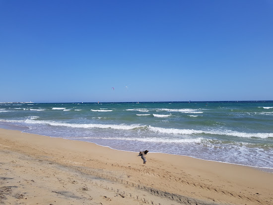 Lido Tavernese