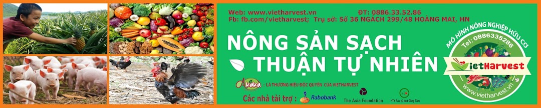 Vietharvest - Nông Sản Thuận Tự Nhiên