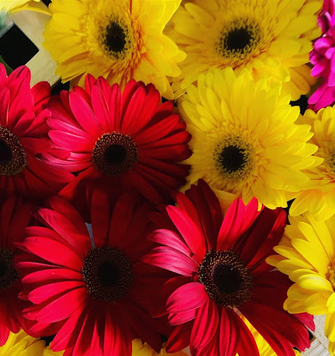 Florist «Bed of Roses», reviews and photos, 135 S State St, Lindon, UT 84042, USA