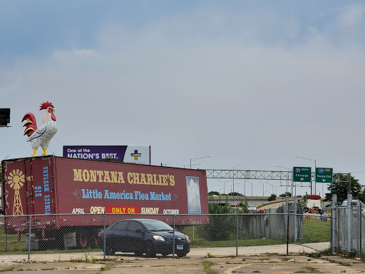 Flea Market «Montana Charlie’s», reviews and photos, 255 S Joliet Rd, Bolingbrook, IL 60440, USA