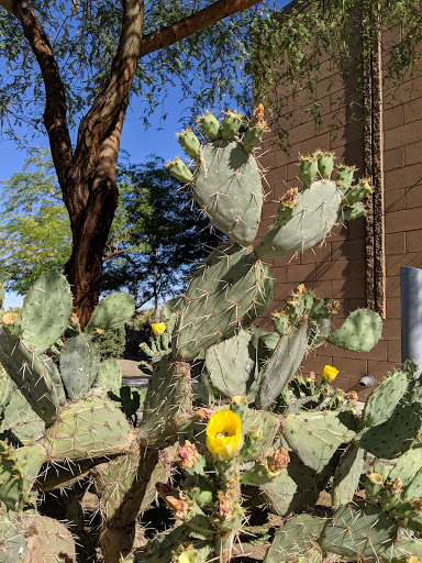 Golf Club «Toka Sticks Golf Club», reviews and photos, 6910 E Williams Field Rd, Mesa, AZ 85212, USA