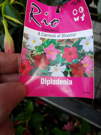 Home Improvement Store «The Home Depot», reviews and photos, 649 Carl-Bethlehem Rd, Winder, GA 30680, USA