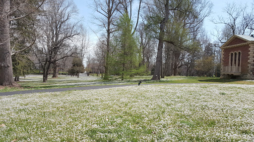 Museum «Ashland - The Henry Clay Estate», reviews and photos, 120 Sycamore Rd, Lexington, KY 40502, USA