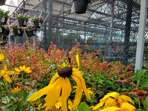 Home Improvement Store «The Home Depot», reviews and photos, W 12871 I-10, San Antonio, TX 78249, USA