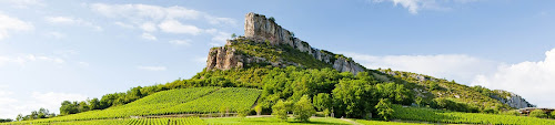 Domaine de la Croix Senaillet à Davayé