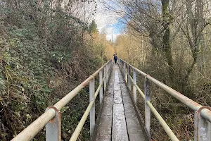 Pipeline Bridge image