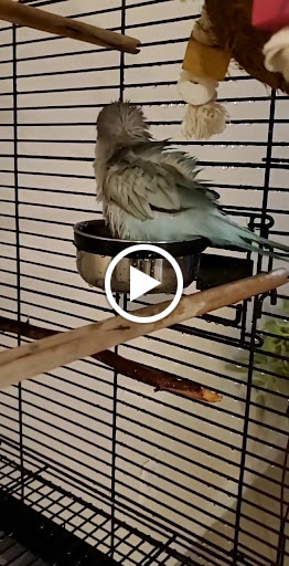 Pet Supply Store «Petco Animal Supplies», reviews and photos, 550 Providence Hwy, Dedham, MA 02026, USA