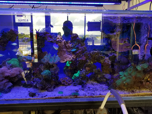 Tropical Fish Store «The Fish Store», reviews and photos, 2050 Chamblee Tucker Rd, Chamblee, GA 30341, USA