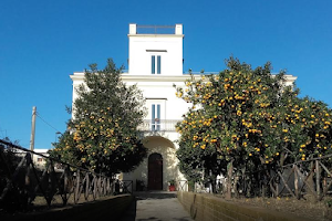Villa Matarese image