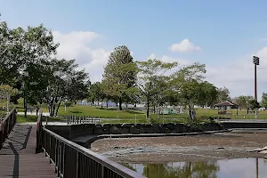 Saga Prefectural Shinrin Park image